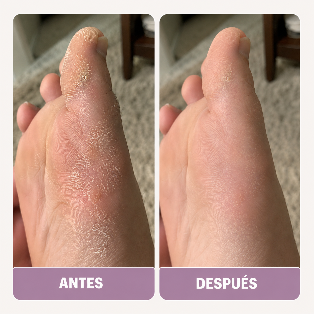 Muy fácil de usar